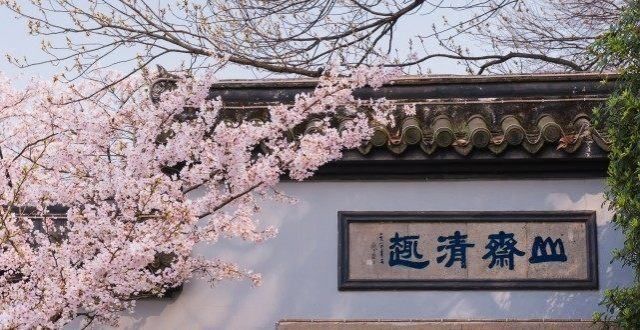 西风凋碧树唐诗赏析：白居易之《林寺桃花》昨夜西