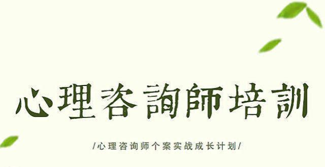 教育的误区心理咨询师个案实战成长计划多元文