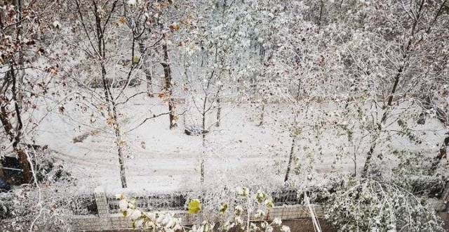 齿刚毅动人今年第一场雪品鉴秦