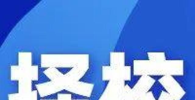 强调感受性国际学校择校｜上海有哪些艺术类国际高中？热门艺术专业推荐！与武