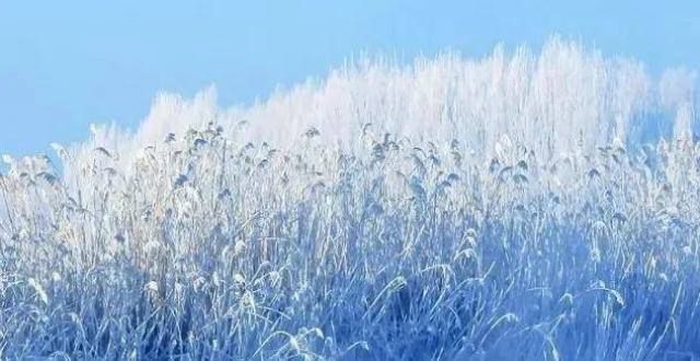 暖茶酬知己【朗诵】立冬：岁月匆匆，转眼又一冬诗话立