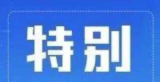 需麻烦老师武汉新增两所重点高中！多校进展来了低年级