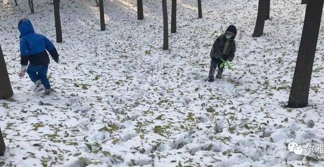 备治家之经日课丨朱子读书法24 每个人都有适合读的书朱子家