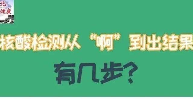 核酸检测从“啊”到出结果有几步？