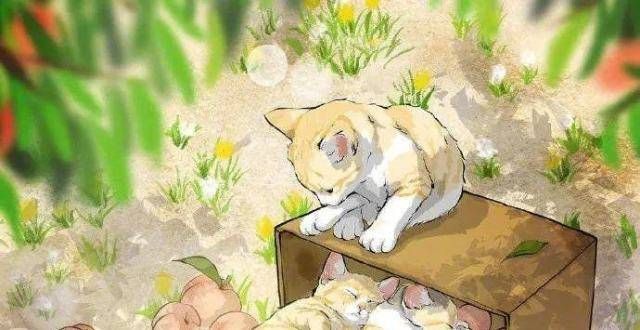 染人打动人治愈系手绘插画，小猫咪，韩国插画师수연재写意