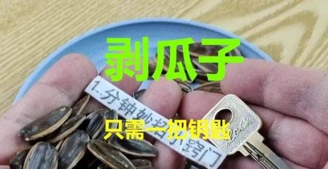 了这样的事瓜子还在用手剥？只用一把钥匙，1秒钟剥一颗，不脏嘴不伤手把抹布