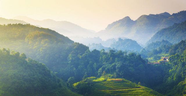 文学这五年古眉州彭老山草木尽枯六十五年，竟是因为他的出生？治愈书