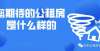 售额约亿元1896套市级公租房：3房850元！主卧带独卫！为何多人选择放弃？大悦城