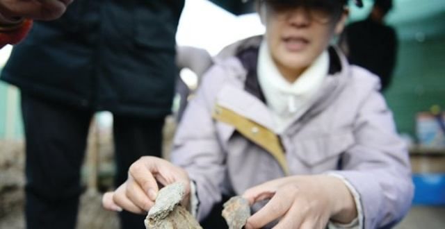 体展将开幕沉睡约6500年的遗址被“唤醒” 可能是已知舟山最早的人类活动遗址敦煌研