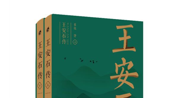 王安石艺术传记：激流中勇者进退的再现