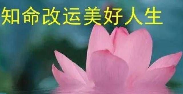 【八字财富系列】你读得越多，你的财富越高，你就越了解这个故事