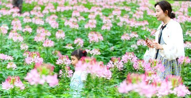 的浪漫节气里的丨立春日，一起向未来！二十四