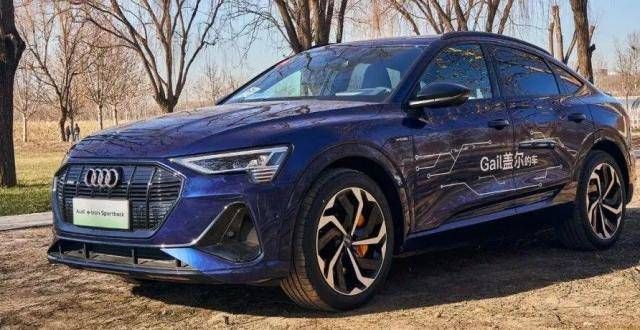 卡车之友网爬长城逛水镇 奥迪e-tron Sportback古北水镇休闲之旅王继洋