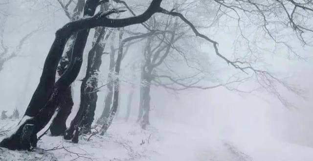 的编码策略独坐闲观瑞雪，白玉一时装遍福建耳