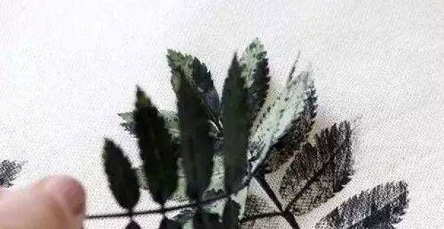 与利用3种超简单的植物染操作方法高分子