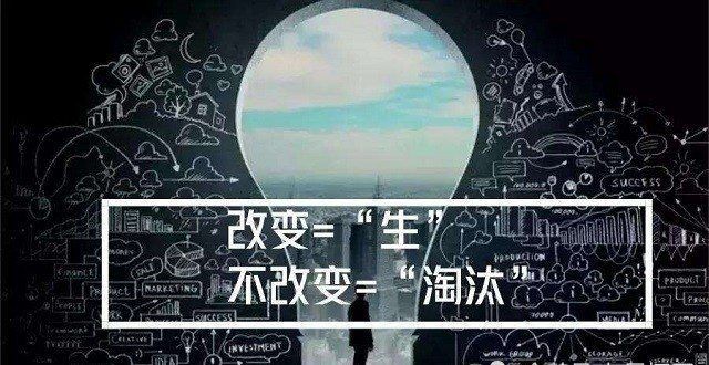 育专业教材周文强：个人IP时代，学历是更有用还是更没用？教育