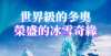 被列入名单揭秘北京冬奥会背后的荣盛身影省级示