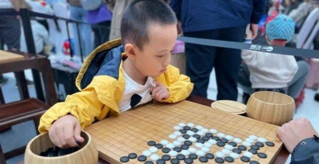 动到师级围棋与人生系列二：黄宾虹围棋助画前辈画