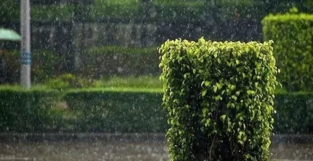 民俗有哪些一滴细雨，一抹春意～雨水节