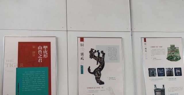 在郑州举办“瑞虎贺岁 虎年历史文化图片展”在新乡市博物馆展出非