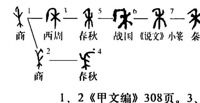 语受益终生说文18：禾字，知多少（1）古人说