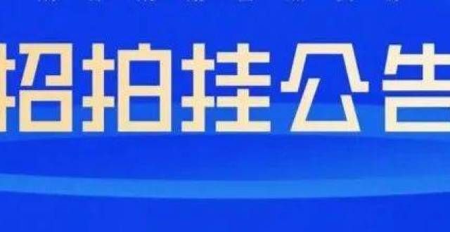 题都在这了成交价1215万元！宿松一宗城镇住宅用地成功出让在英国