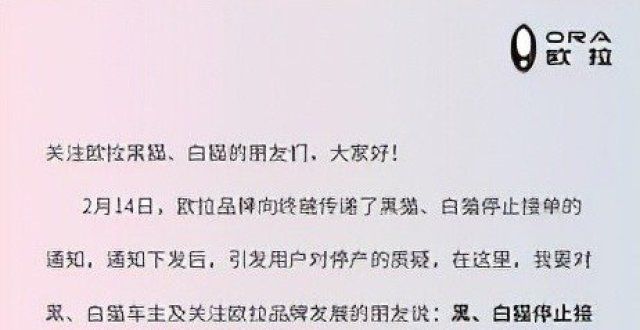 远超迈巴赫欧拉黑白猫被迫停产？品牌CEO董玉东回应：是停止接单，不是停产贾跃亭