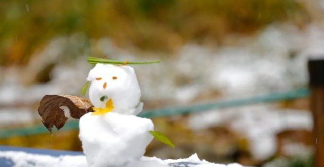 雪至仲冬始今日雪，且以深情共白头雪至