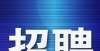 会写错粤字大连市疾病预防控制中心公开招聘雇员编制人员公告原来广