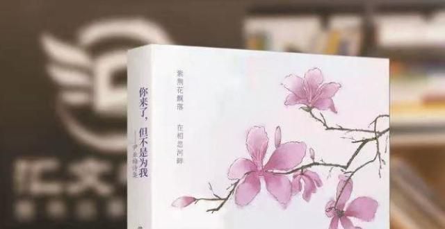 意这个细节《你来了，但不是为我》新书发布荀子精