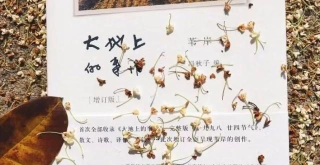 当属这论：​修辞需要节玄幻小