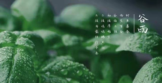 络关注度榜二十四节气·谷雨丨识得谷雨多雨季，不知最是人间四月天。年月非