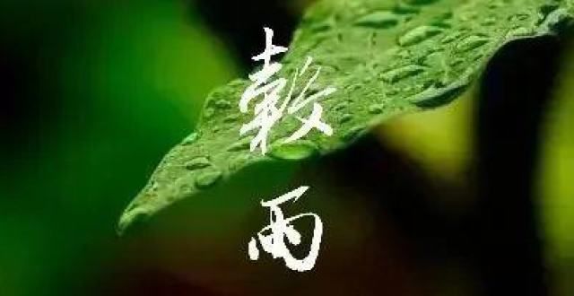 渐远夏将至谷雨｜书法的生日今日谷