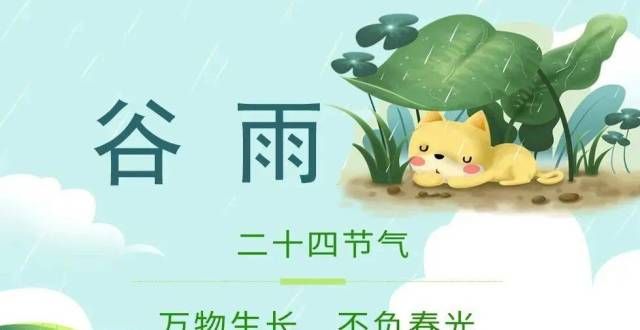 【二十四节气·谷雨】万物生长 不负春光