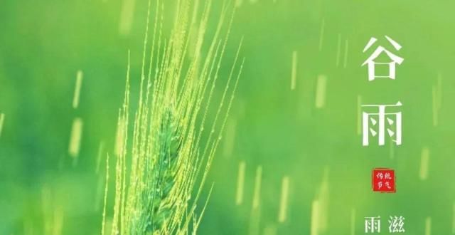 报龙光集团谷雨｜雨生百谷 润物无声谷雨房