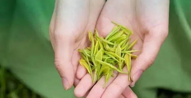 菜根的滋味陆羽茶交所分享｜宋人饮茶美学：金碾飞绿尘，碧瓯起翠涛华州乡