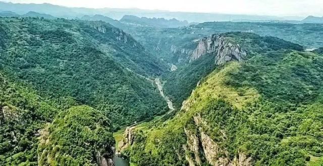 花是什么花新昌诗路声音馆｜这片低调的山林，居然藏着这么多的故事！隔江犹