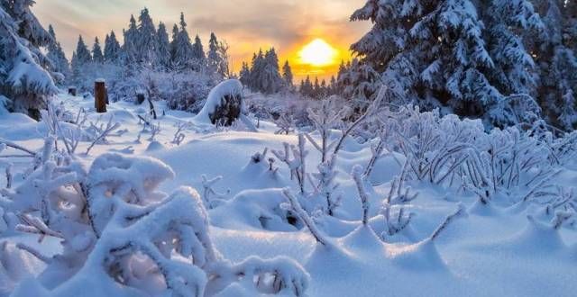 赏梅花盆景雪｜踏莎行•雪舞迎春冬天就