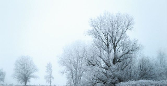 为千古佳作七律.冬风雪霰洒莹沙王维给