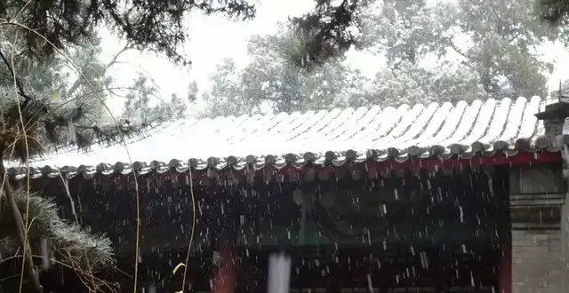 朦胧烟雨中陆游笔下的冬天，尽是凄凉与壮志未酬诗词丨