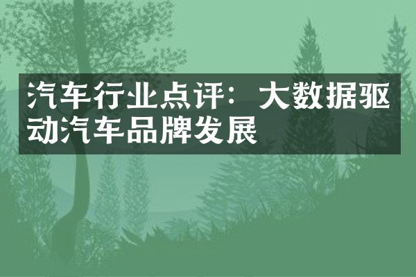 汽车行业点评：大数据驱动汽车品牌发展