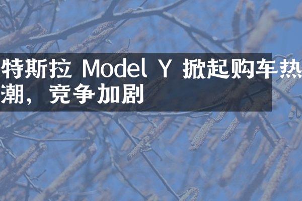 特斯拉 Model Y 掀起购车热潮，竞争加剧