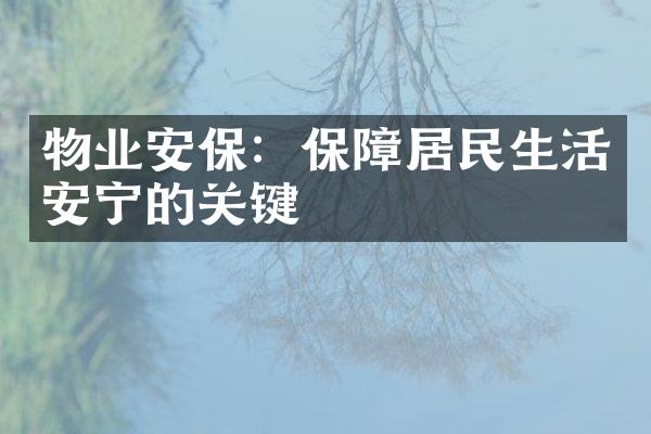 物业安保：保障居民生活安宁的关键