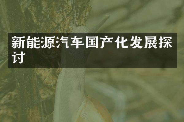 新能源汽车国产化发展探讨