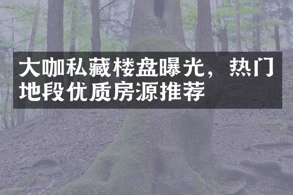 大咖私藏楼盘曝光，热门地段优质房源推荐