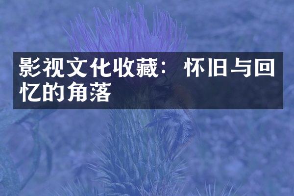 影视文化收藏：怀旧与回忆的角落