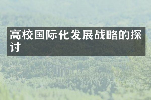 高校国际化发展战略的探讨