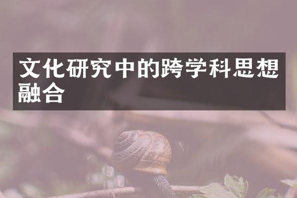 文化研究中的跨学科思想融合