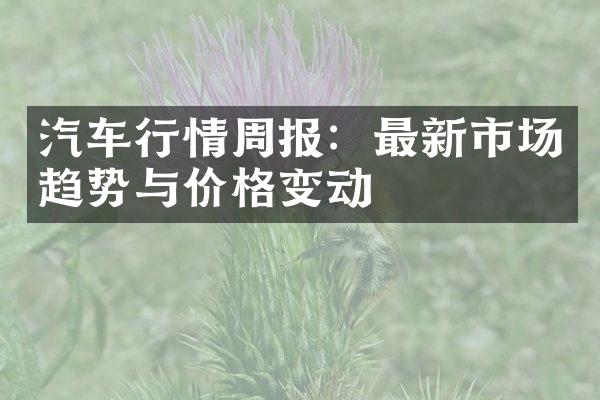 汽车行情周报：最新市场趋势与价格变动