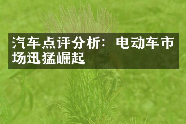 汽车点评分析：电动车市场迅猛崛起